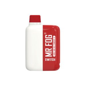 Mr Fog Switch [20mg/mL] - Big Cloud Vapor Bar, Canada