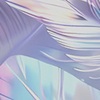 Aurora Feathers