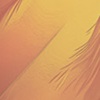 Orange Feathers