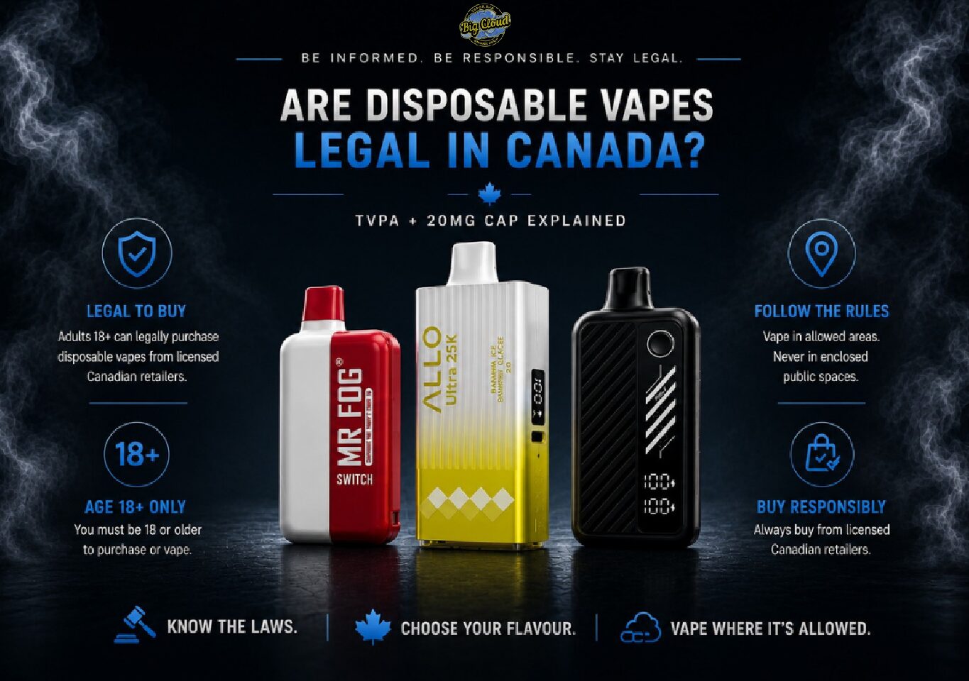 Maskking Canada: Every Disposable Compared