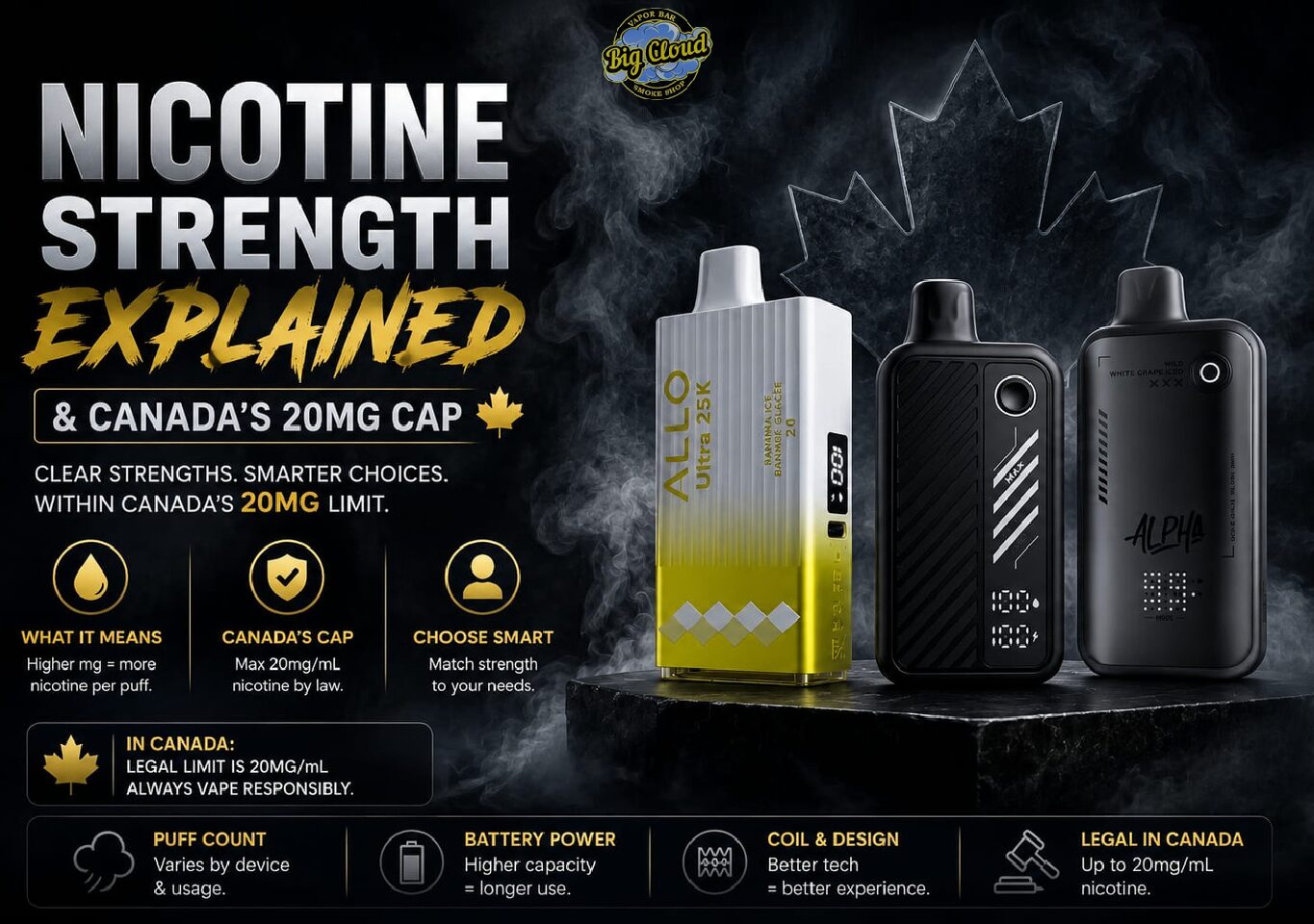 Maskking Canada: Every Disposable Compared