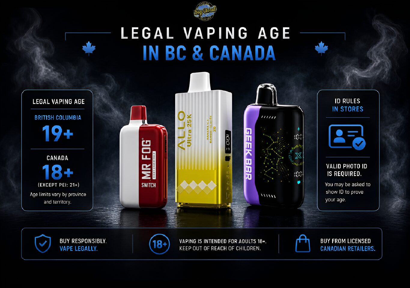 Maskking Canada: Every Disposable Compared