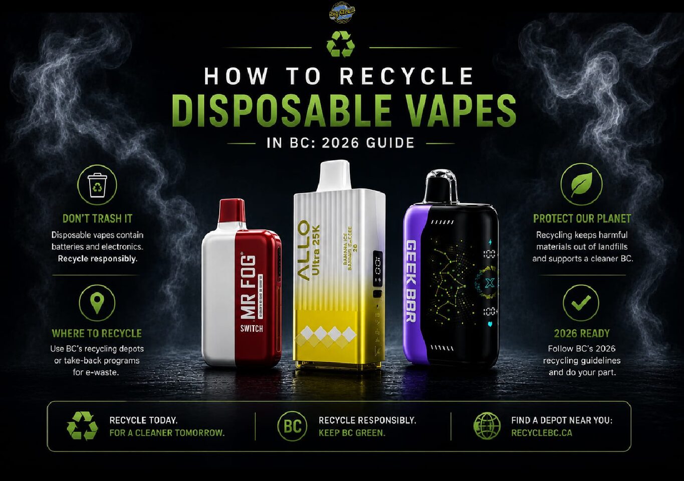 Maskking Canada: Every Disposable Compared